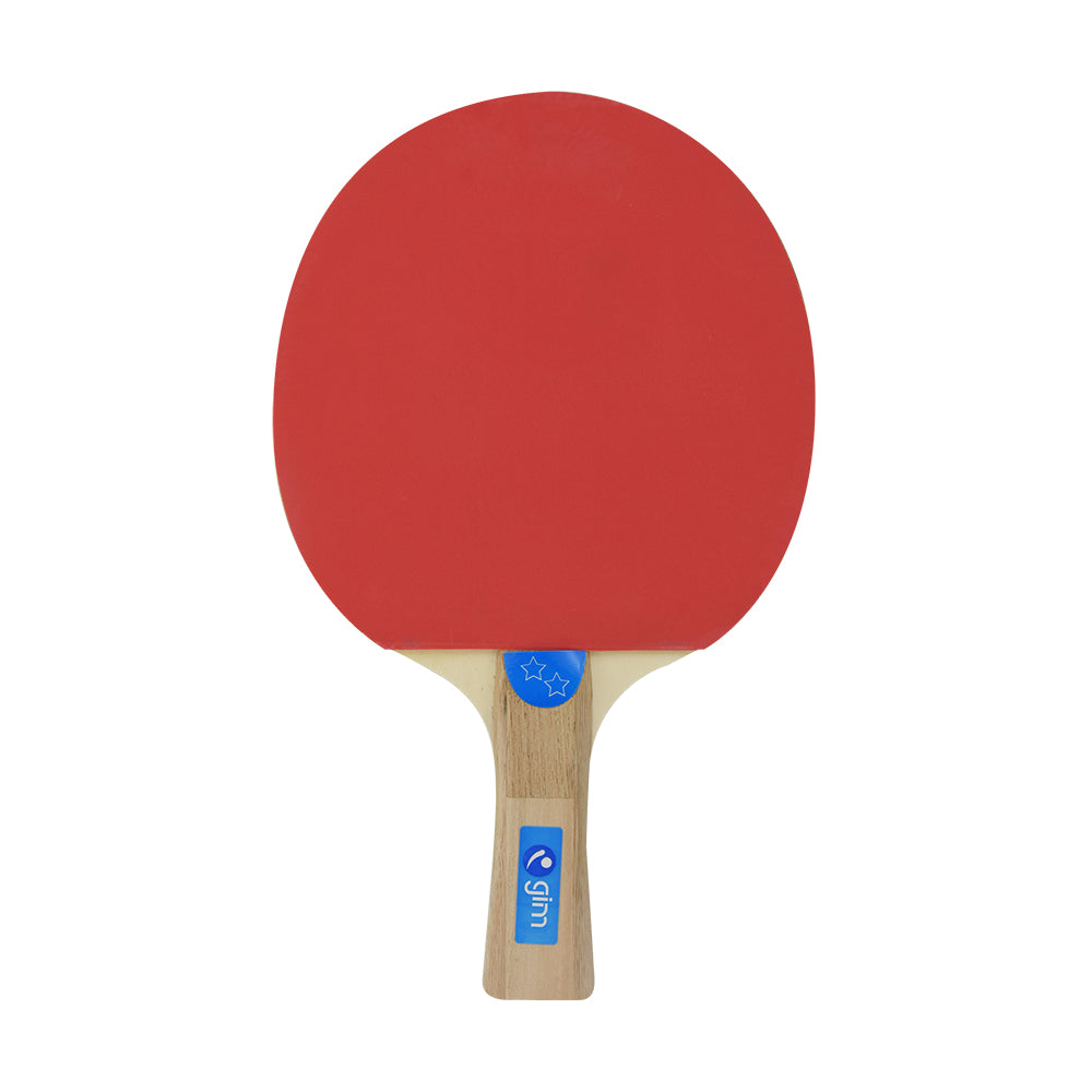 Set de 2 Paletas y 3 Pelotas para Ping Pong