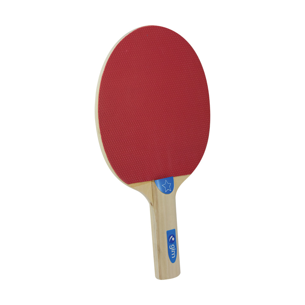 Set de 4 Raquetas y 3 Pelotas Para Ping Pong